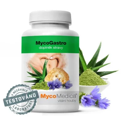 MycoGastro, 90 g prášku - MycoMedica