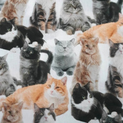 Plátno jemné - Rezavé a šedé kočičky