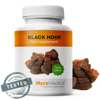 Ohňovec - MycoMedica, 90 kapslí