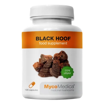 Ohňovec - MycoMedica, 90 kapslí