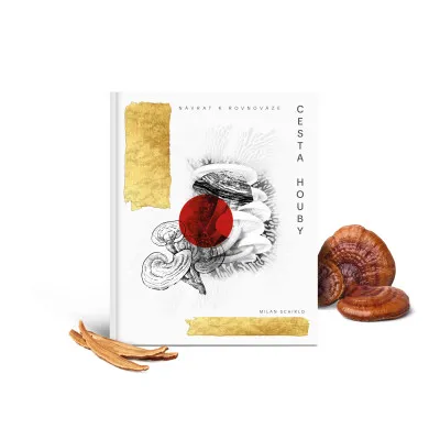 Kniha Cesta houby