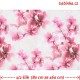 Kočárkovina Premium, Sakura růžová na šedobílé, šíře