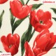 Plátno s EL - Tulipány červené, 15x15 cm