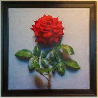 Prírodná lekáreň