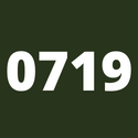 0719 - Temně olivová